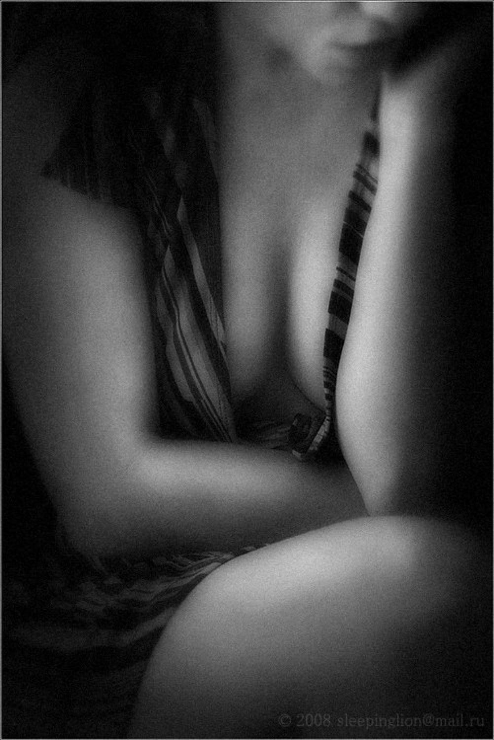 pilgrim, жанр, Pilgrim