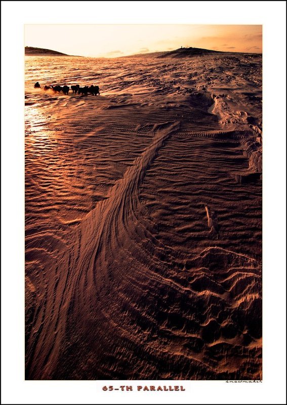 фото, чукотка, гонки, собачья упряжка, снег, photo, chukotka, snowmaker 65-TH PARALLELphoto preview