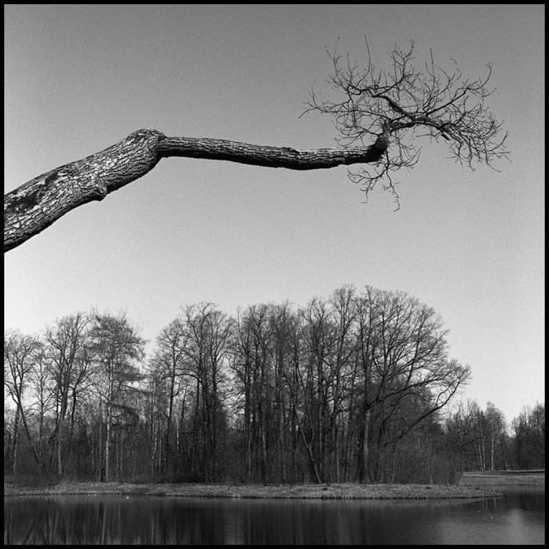 Павловский пейзажphoto preview