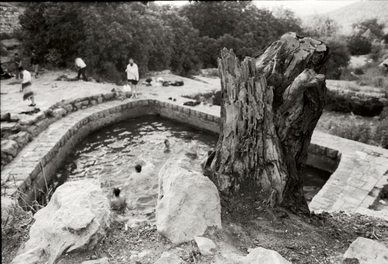 igalsc *** фото превью