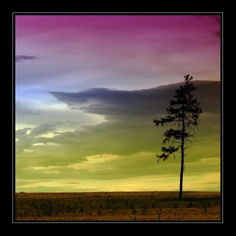 СТОЮ...НИ КОГО НЕ ТРОГАЮ)photo preview