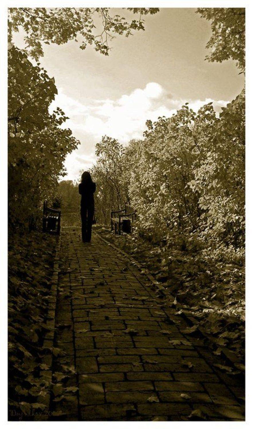 силуэт. Автор: Сергей Дужников осень, девушка, Сергей Дужников