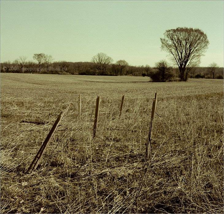 пейзаж, пленка, 120 film, средний формат, medium format, 6x6, mamiya c33 professional, pilgrim, Pilgrim