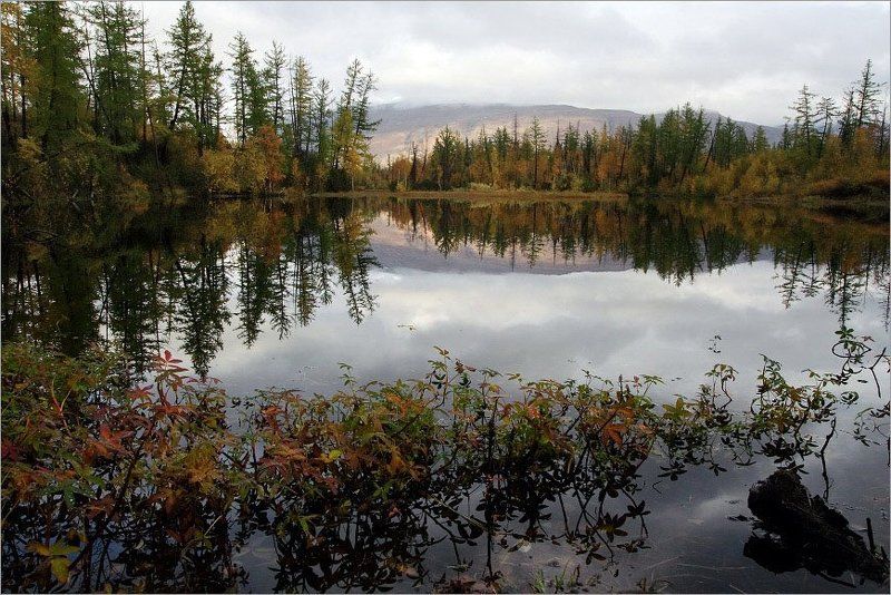 зеркальнаяphoto preview