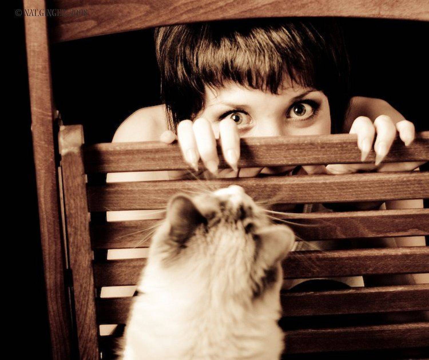 портрет, Ginger