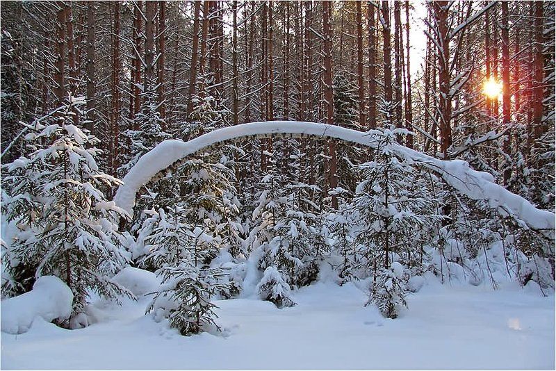 мороз и солнце... Красно-солнышкоphoto preview