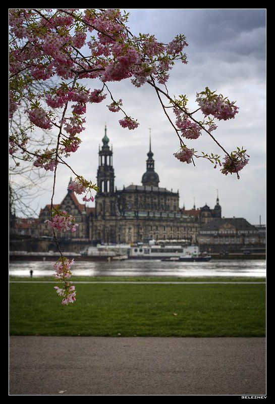 еще немного дрезденаphoto preview