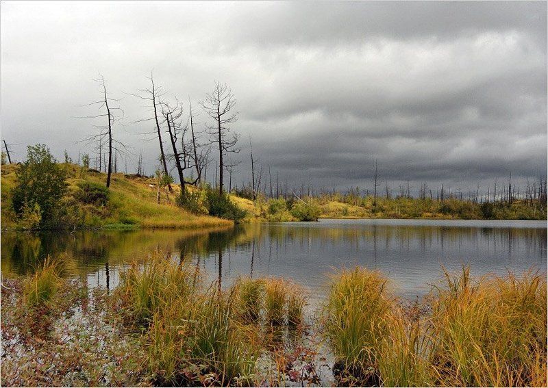таймыр,осень,озеро хмураяphoto preview