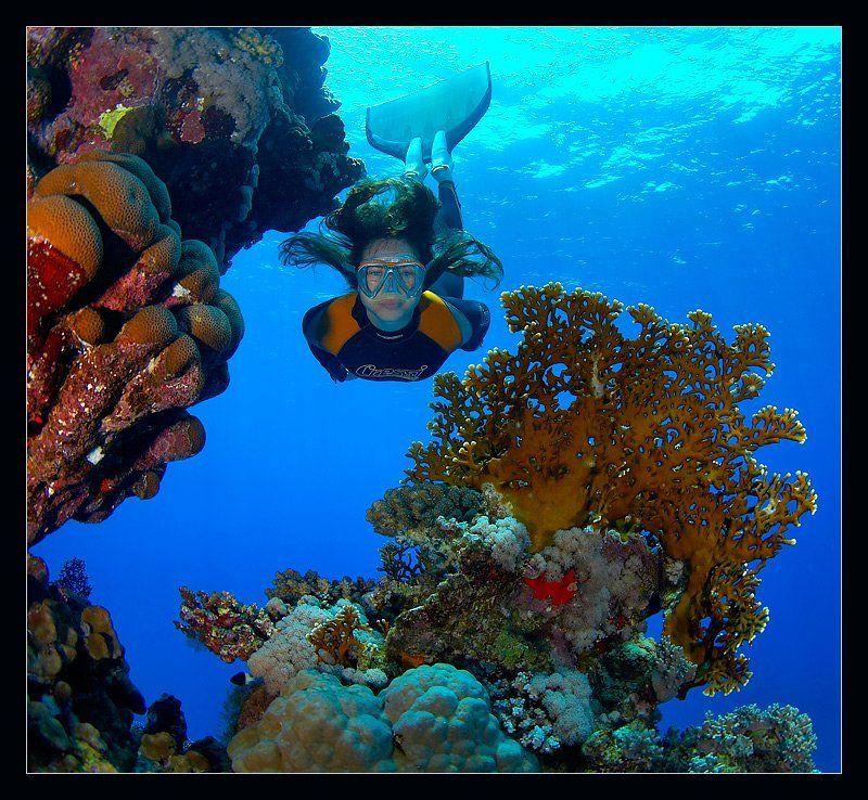 Под воду налегкеphoto preview