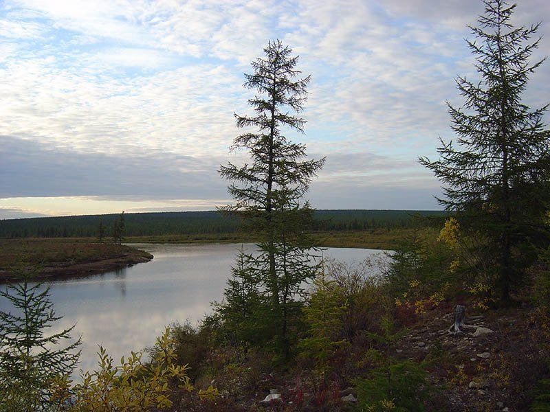 тайга,река Вечер на рекеphoto preview