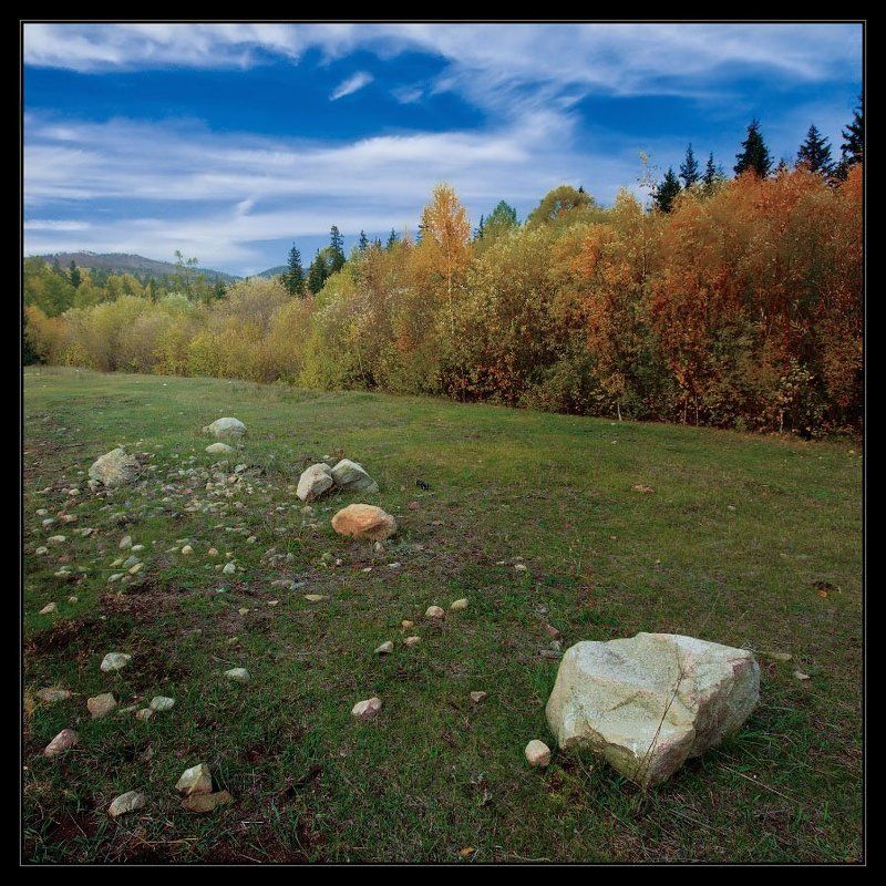 лес, небо, осень Спелые плоды и молодые всходыphoto preview