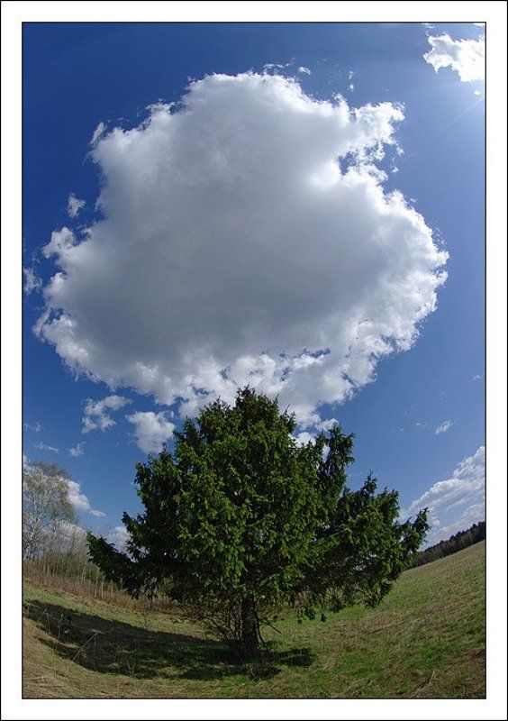 Про ассоциацииphoto preview