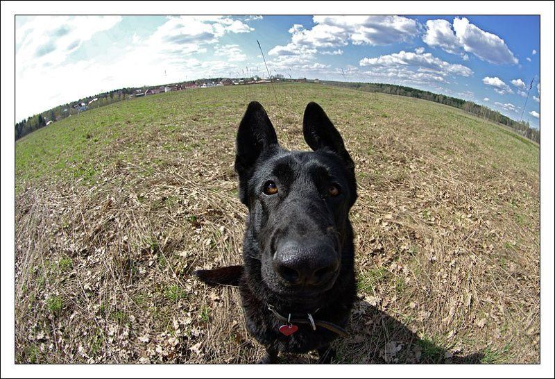 Обитаемая планетаphoto preview