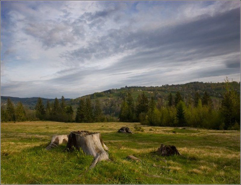 ПЕЙЗАЖ №156photo preview