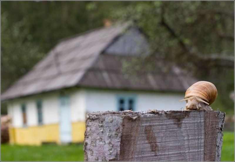 Я ОТ БАБУШКИ УШЕЛ...photo preview