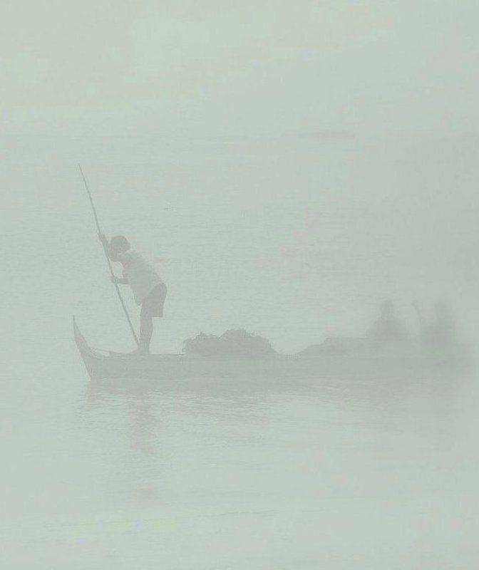 молочные рекиphoto preview