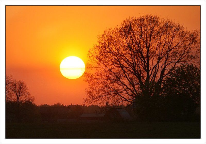 закат, дерево, солнце Деревенская закатнаяphoto preview