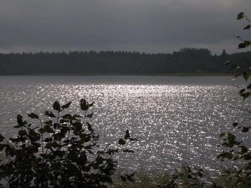 вода, блики, селигер Серебряная водаphoto preview