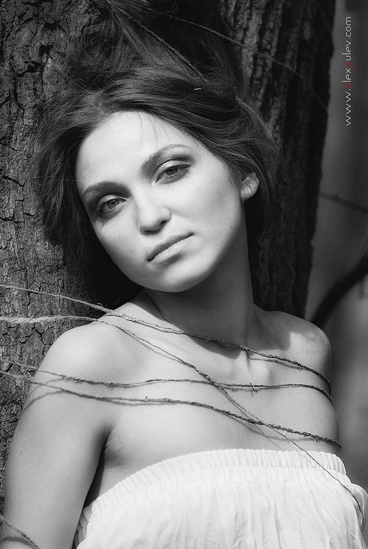 весна,пробуждение,природа,солнце,флора,черное,белое Весеннее пробуждение \\2\\photo preview