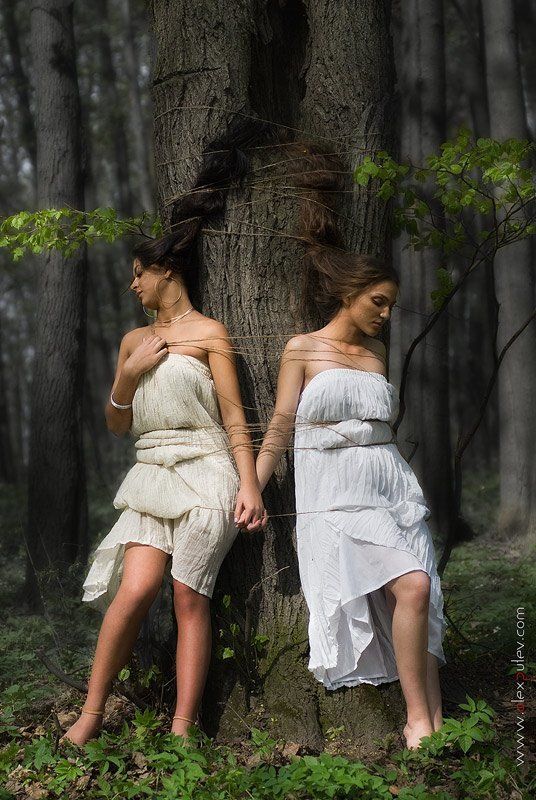 пленницы,лес,весна,природа,жанр,девушки,флора,дриады Дриадыphoto preview