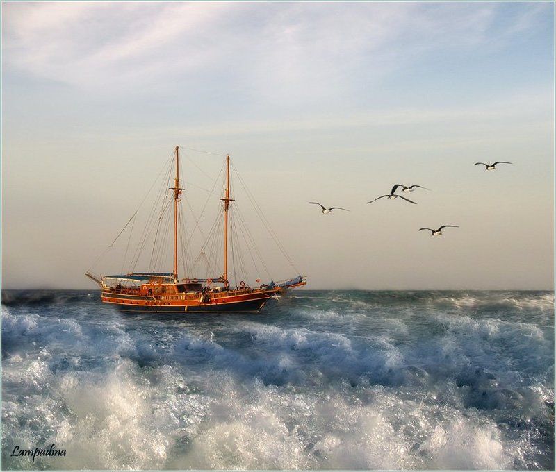 красное море, судан, яхта, волнение Суданская тревожная... фото превью