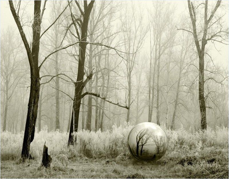 приснилосьphoto preview