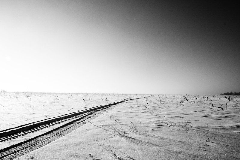 снег, утро, чб Снежная бесконечностьphoto preview