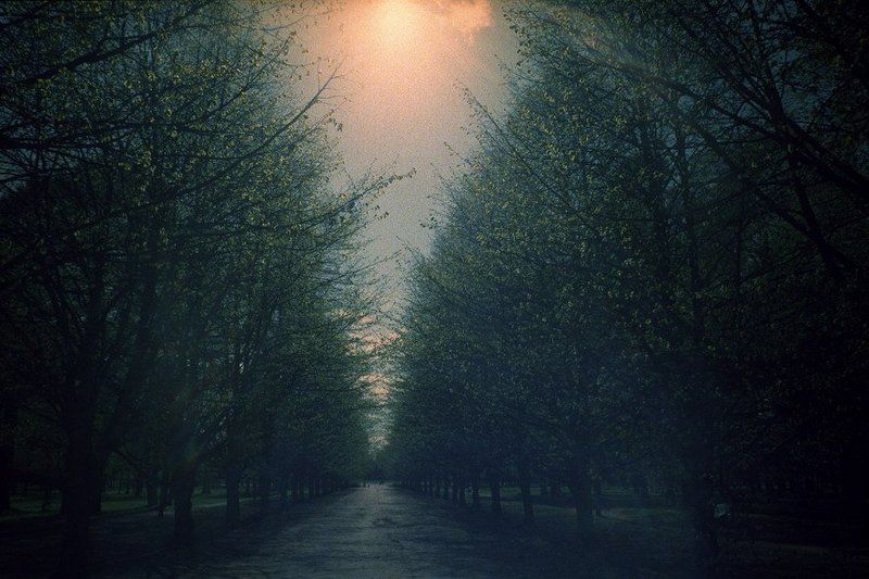 крестовский островphoto preview