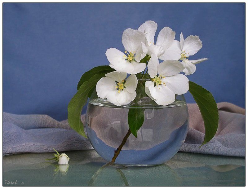 весна, цветы Весеннийphoto preview