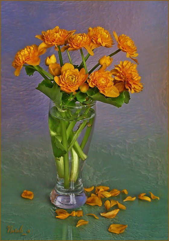 весна, цветы photo preview