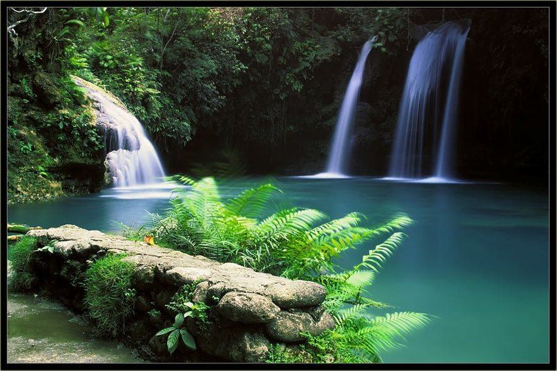 филиппины,себу,водопады,джунгли Водападики в джунгляхphoto preview