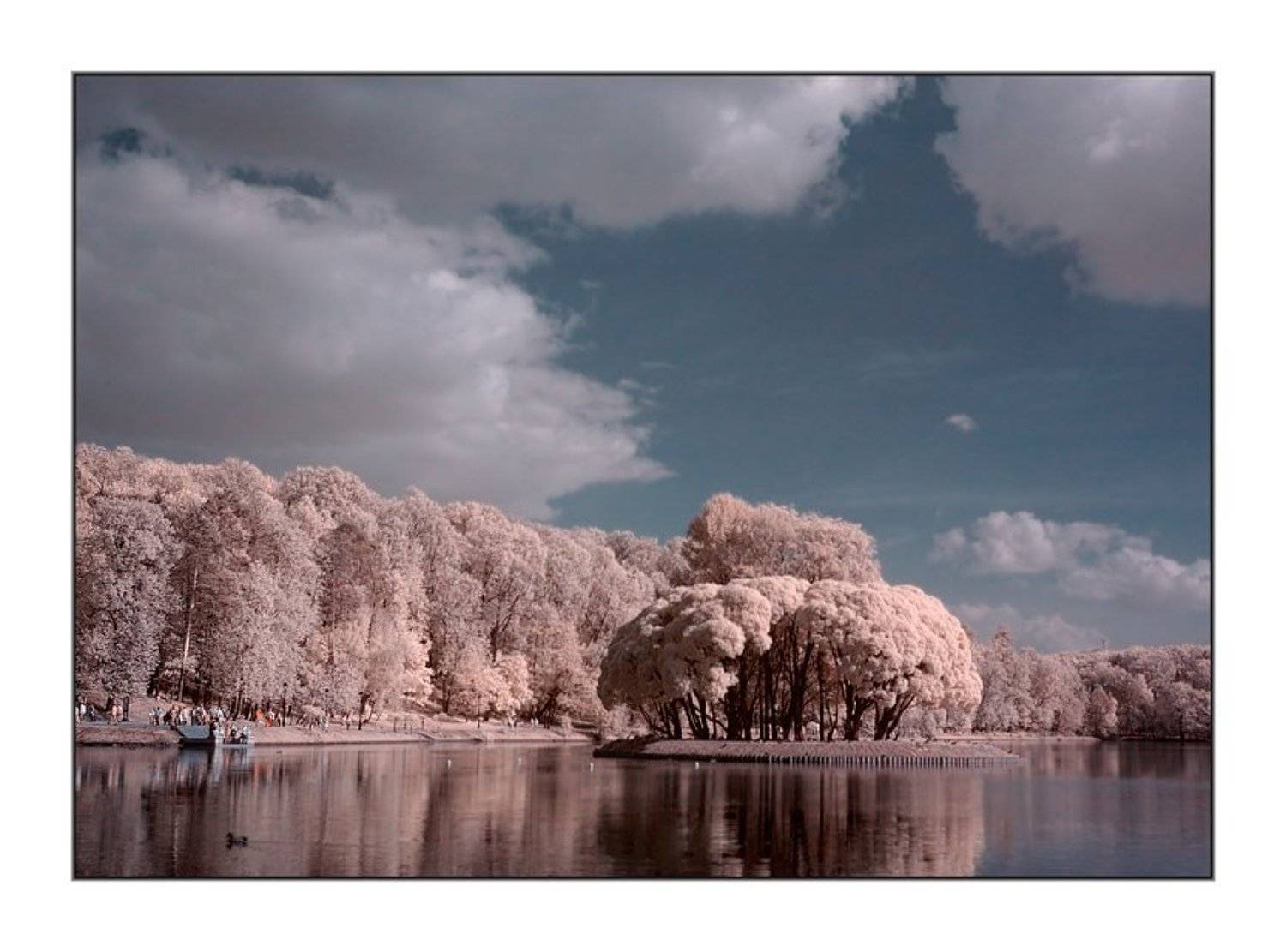 царицыно, москва, парк, вода, много народу, Капустин Николай