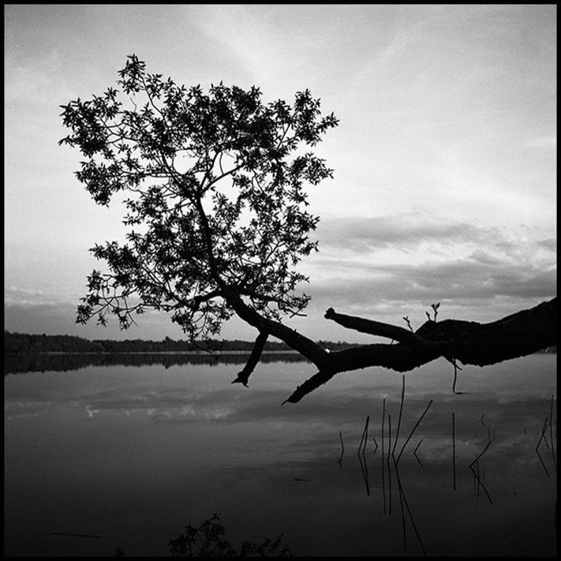 Орлинское озеро. Поздний вечер.photo preview