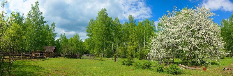 рязань, рязанская область, тюково ***photo preview