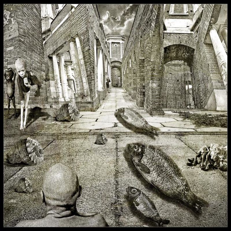 Шествие рыб.photo preview