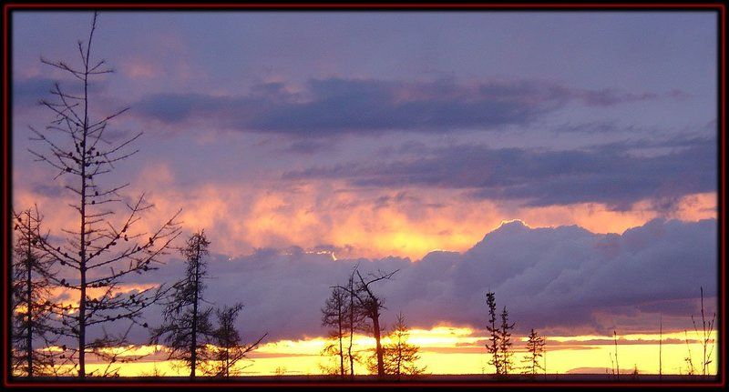 тайга,закат Вечернее небо тайгиphoto preview