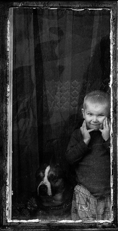 mendor photo preview