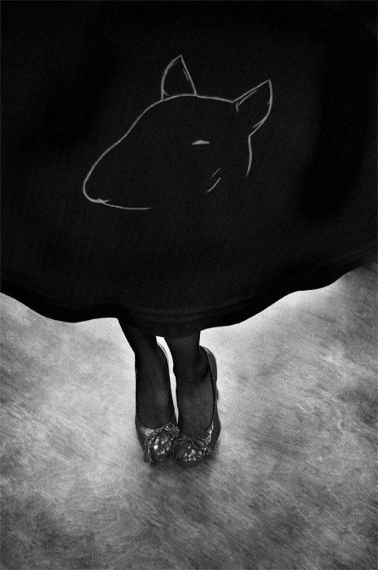 mendor photo preview