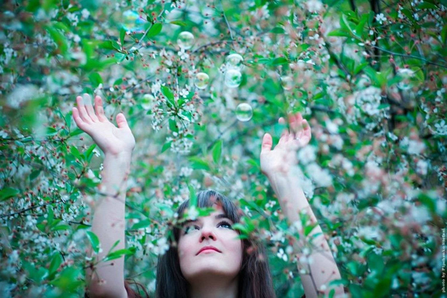 * * *, Стефания