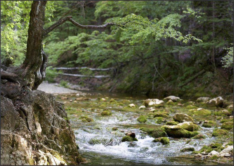 крым, большой каньон, пейзаж, река * * *photo preview