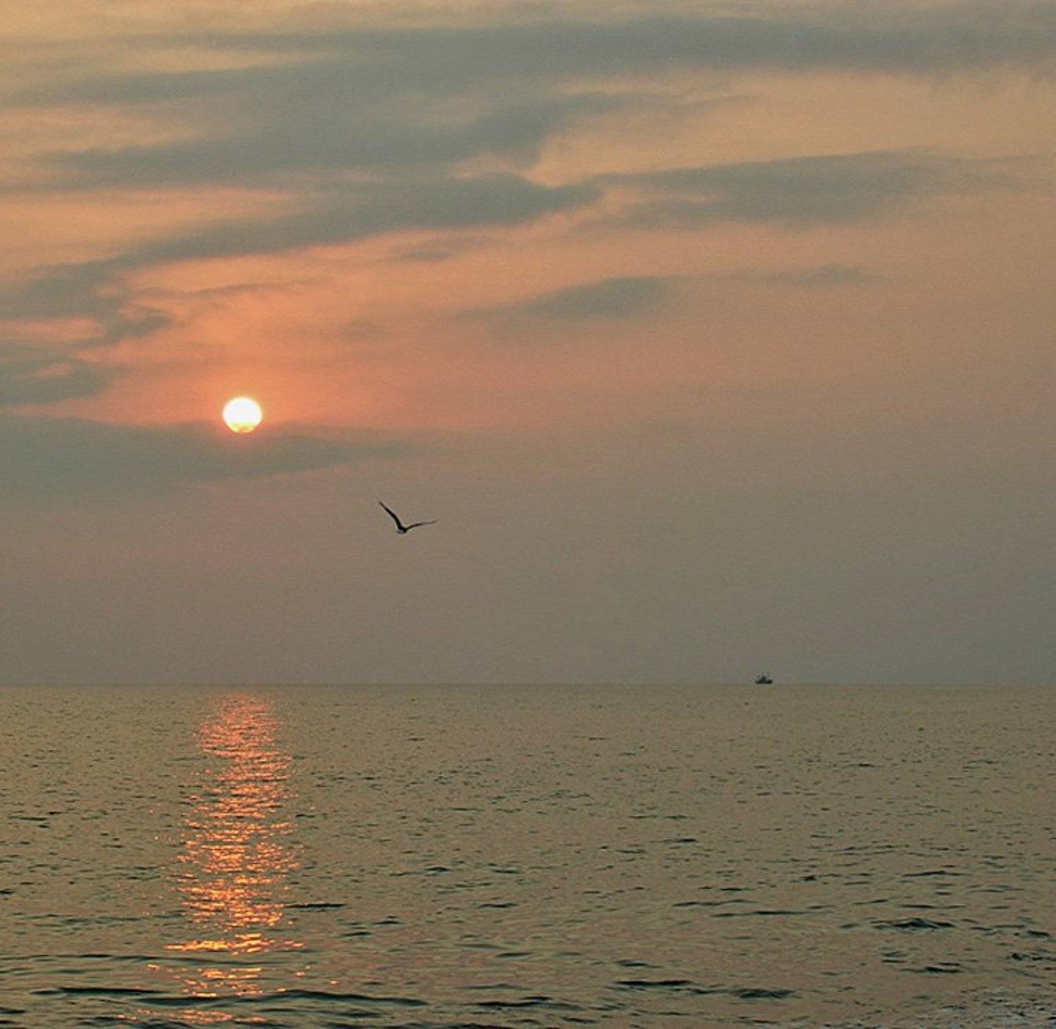 Вечер над морем. Автор: Tatiana Rozanova море,закат,вечер, Tatiana Rozanova