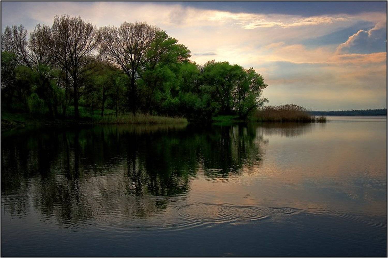 тихий вечер, малёк играет, слабый ветерок, Yuri Mart