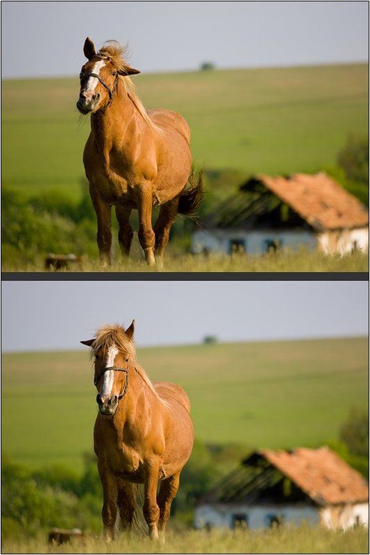 То право, то лево ! фото превью