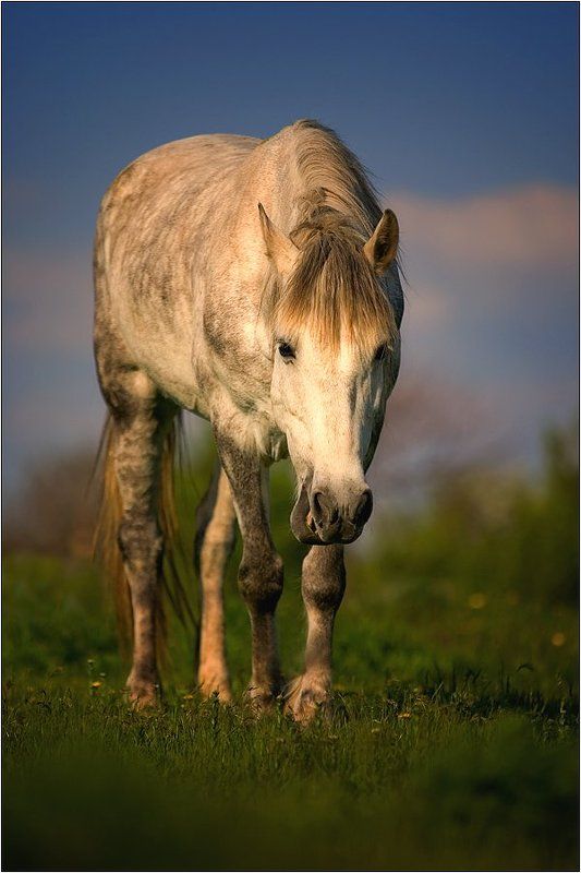 Щяс побеседуем ! Хватограф.... фото превью