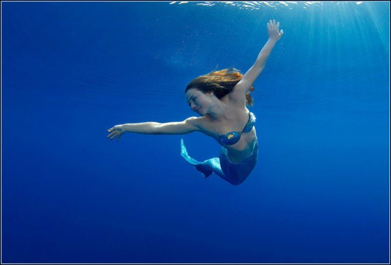 Купаясь в солнечных лучахphoto preview