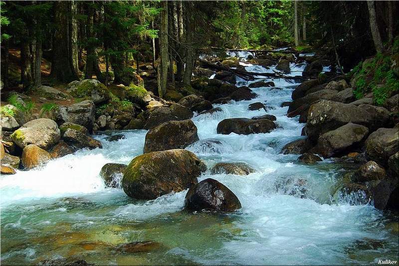 Потокphoto preview