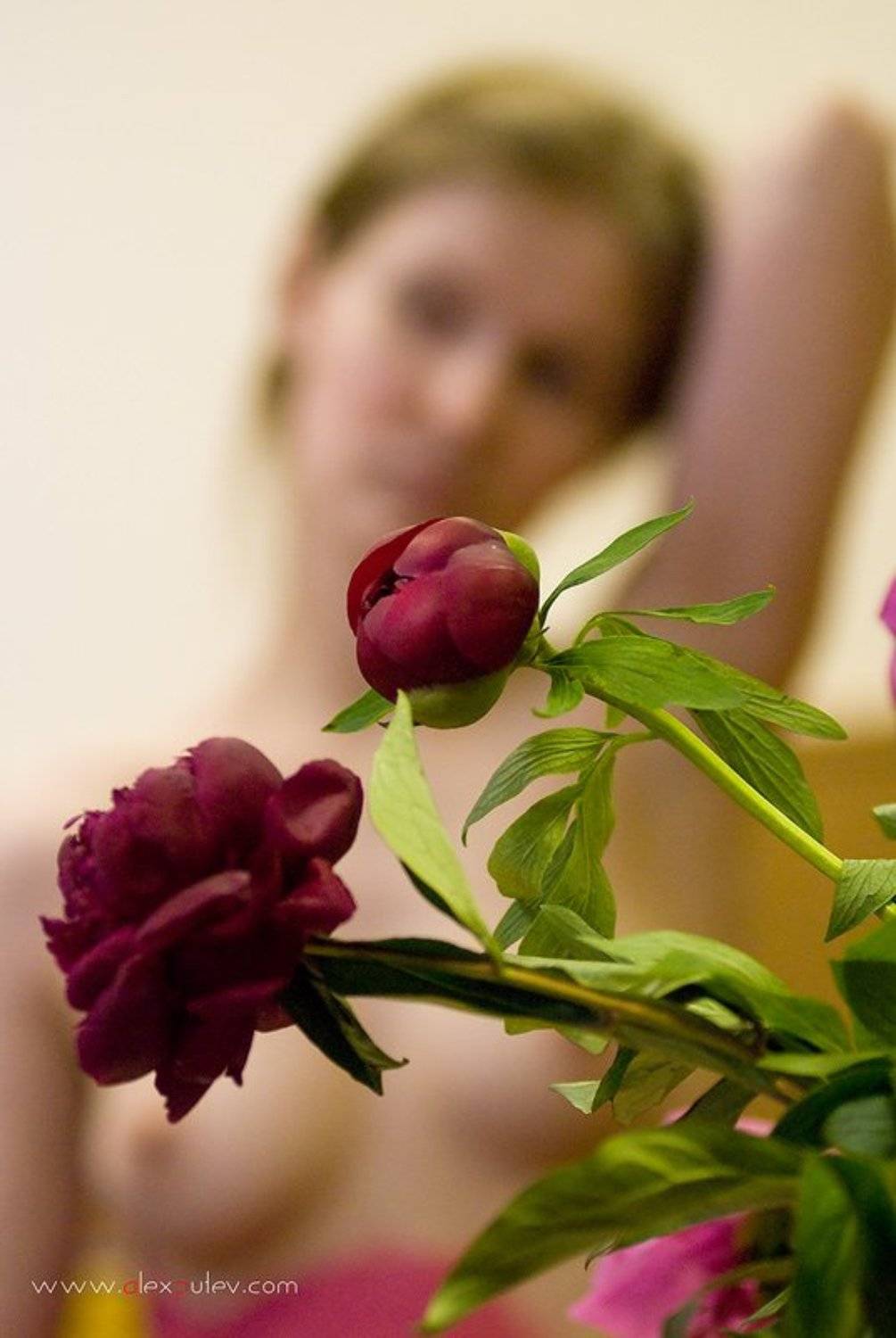 пионы, ночь музеев,тушино,девушка,бодиарт, Александр Путев