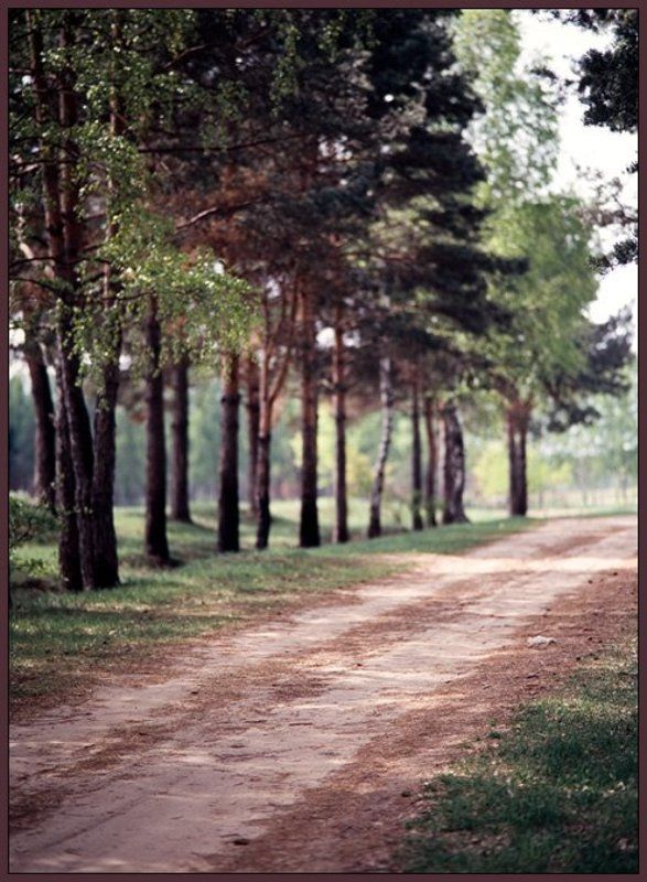 дорога Дорогаphoto preview