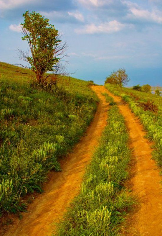 Донецкие степиphoto preview