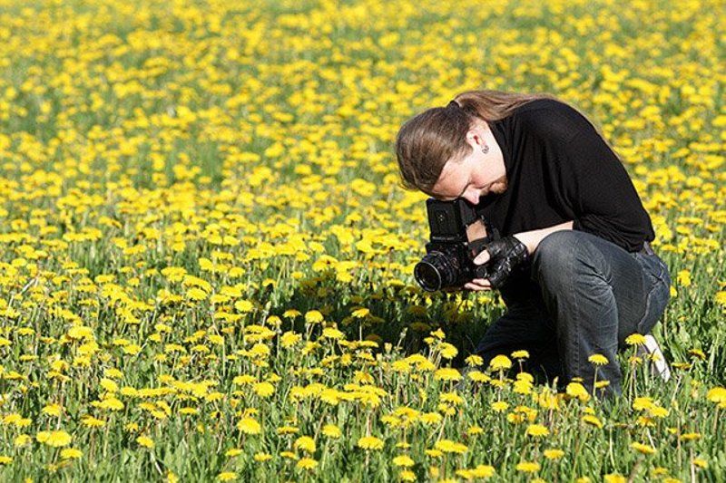 одуванчики коломенское охота на одуванчикиphoto preview